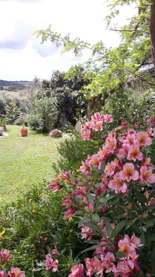 Agriturismo Le Colline Di Capalbio Exterior foto